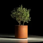 Kvetináč CIRCUM na kolieskách cortén