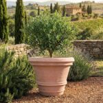 Toskánska terakotová nádoba Limoniere