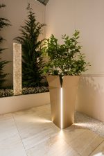 Luxusný interiérový kvetináč Cycas – Obrázok 3
